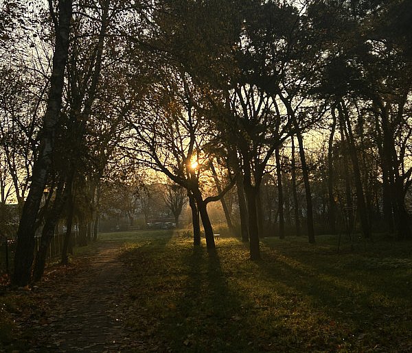 Nadchodzi najkrótszy dzień w 2025 roku. Sprawdź, kiedy przypadnie-29299