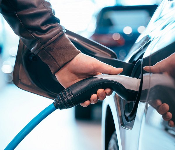 Coraz częściej dochodzi do takich kradzieży. Powody zaskakują-29632