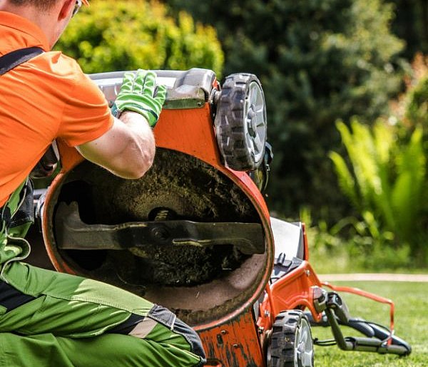 Wiosenna reanimacja murawy. Jak przywrócić trawnik do f