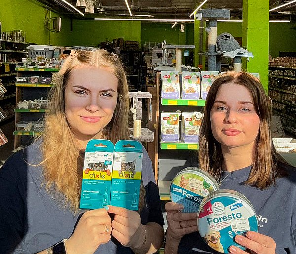 Jak zabezpieczyć swojego pupila na wiosnę?