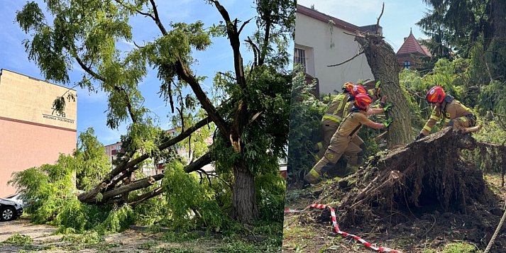 Świecie w centrum burzy, zniszczone auta i budynki