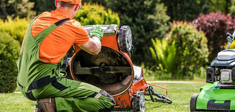 Wiosenna reanimacja murawy. Jak przywrócić trawnik do formy po trudnej zimie?