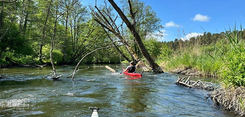 Bory Tucholskie zapraszają! Już w sobotę Święto Turystyki Naturalnej w Tleniu
