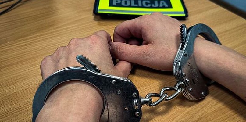 Do aresztu trafił obcokrajowiec, który napadł na miłośniczki nordic walking - 29332