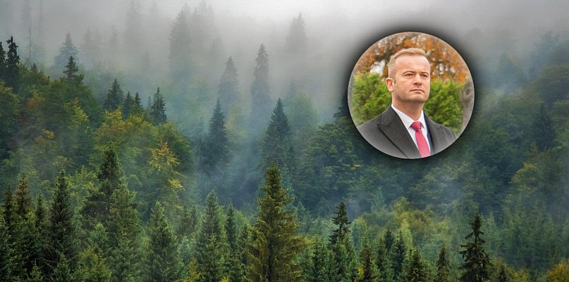 Świecie kupuje lasy nawet w Warlubiu i Jeżewie - 29389