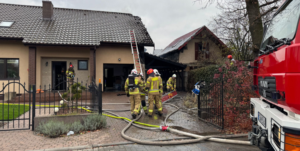 fot. Krzysztof Nowicki