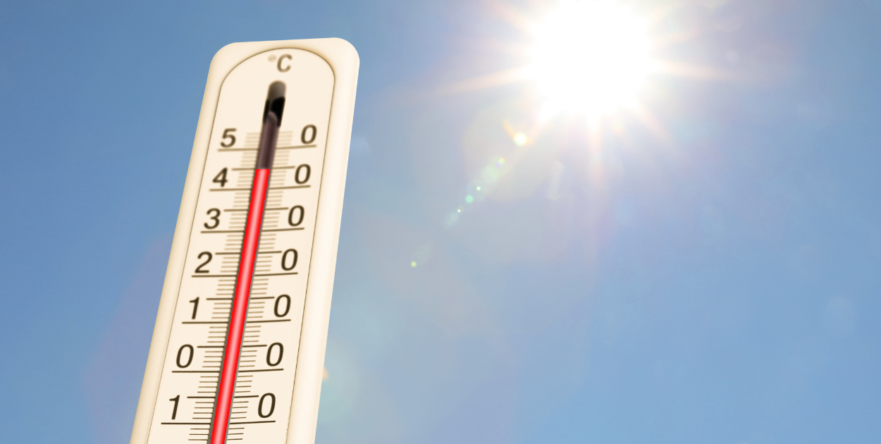 Ruszyły konsultacje Miejskiego Planu Adaptacji do zmian klimatu w Świeciu