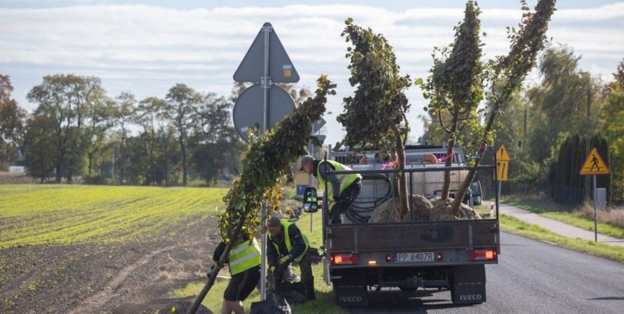 Zielona rewolucja przy trasach wojewódzkich