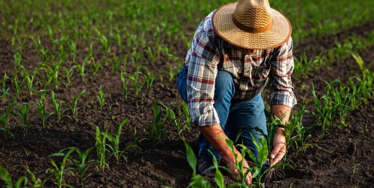 Kwalifikacje rolnicze w dorosłym życiu – prosty sposób na własne gospodarstwo