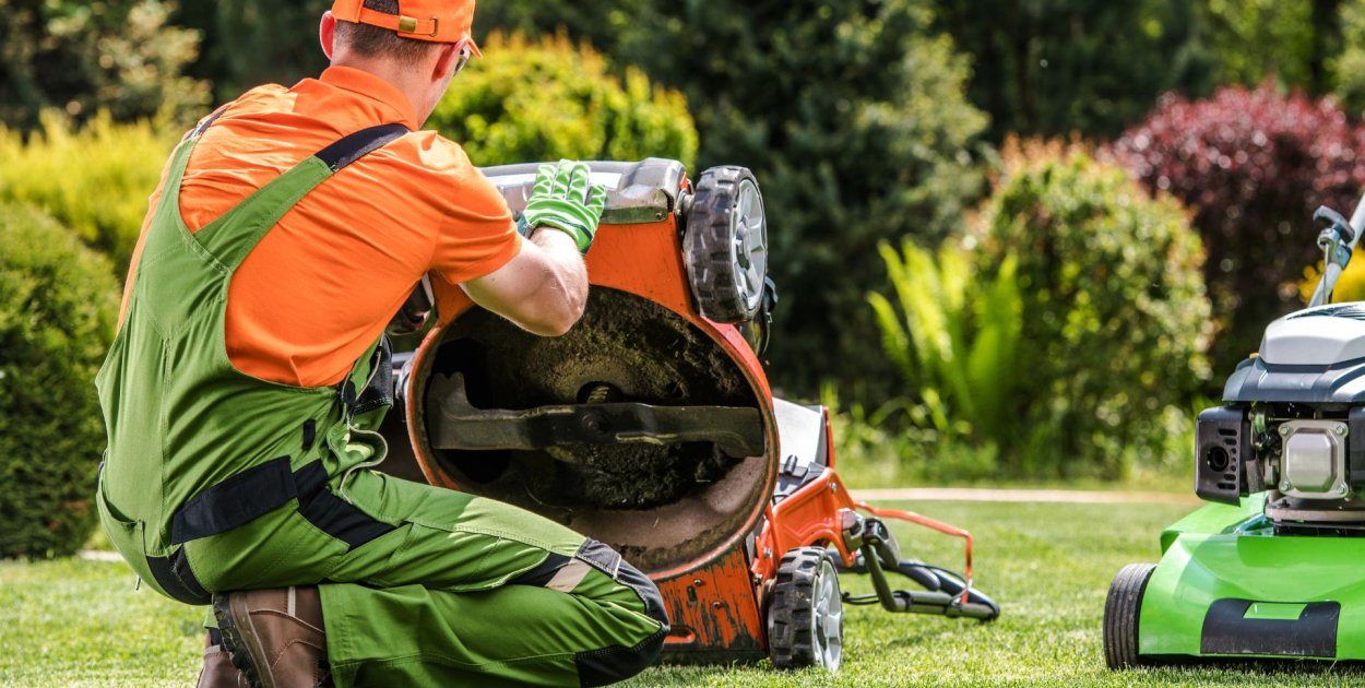 Wiosenna reanimacja murawy. Jak przywrócić trawnik do formy po trudnej zimie?
